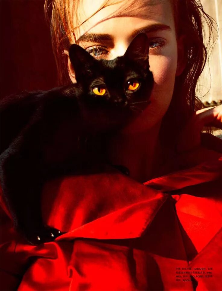 Черный кот и девочка. Девушка с котом. Девушка с черной кошкой. Девочка с черным котом. Женщина с кошкой.