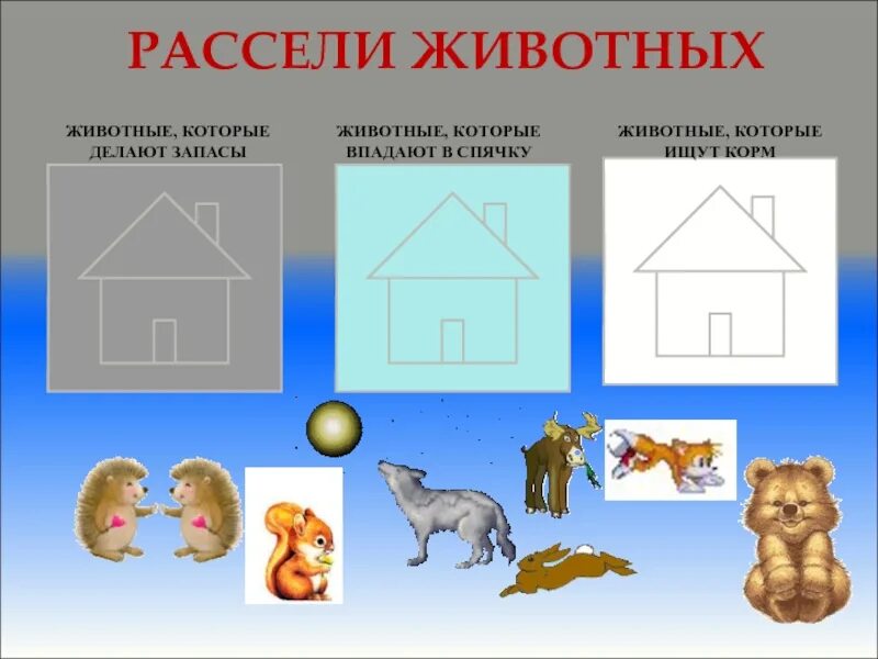 Рассели животных по домикам. Рассели животных. игра рассели животных. расселите животных по домикам. рассели домашних животных по домам.