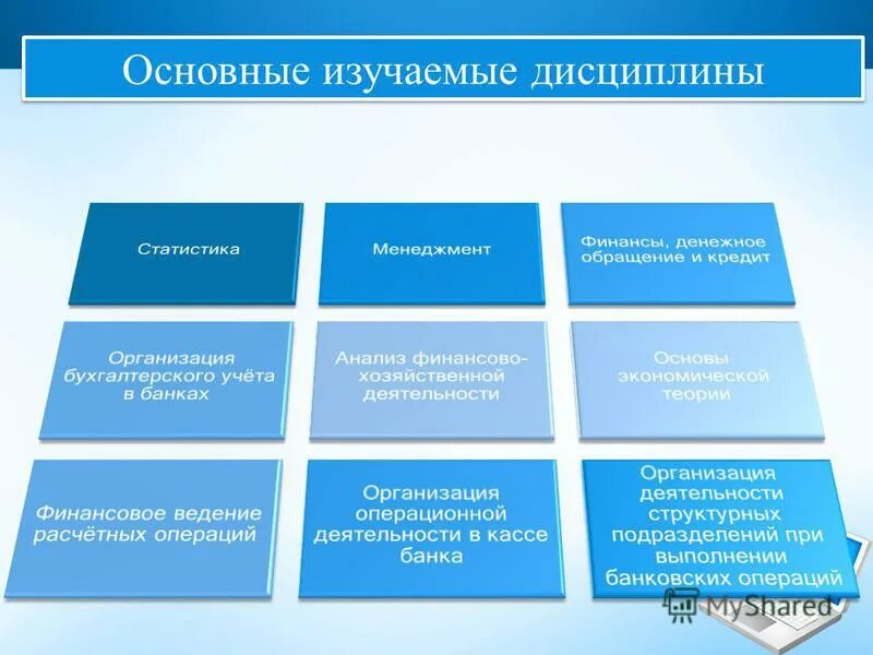 Какие предметы изучают в колледже после 9. Какие предметы в колледже. Изучаемые дисциплины. Изучаемые дисциплины (по профилю организации). Какие предметы изучают в колледже после 9.