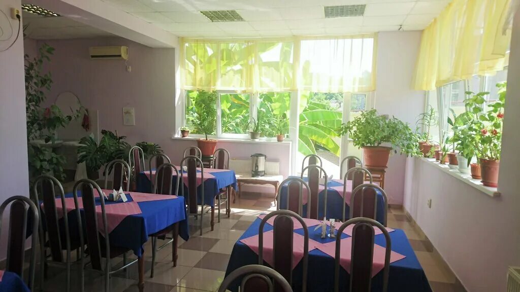 пансионат для престарелых сочи. пансионат для престарелых в краснодаре. персонал пансионата. дом престарелых якорная щель. пансионат для престарелых сочи.