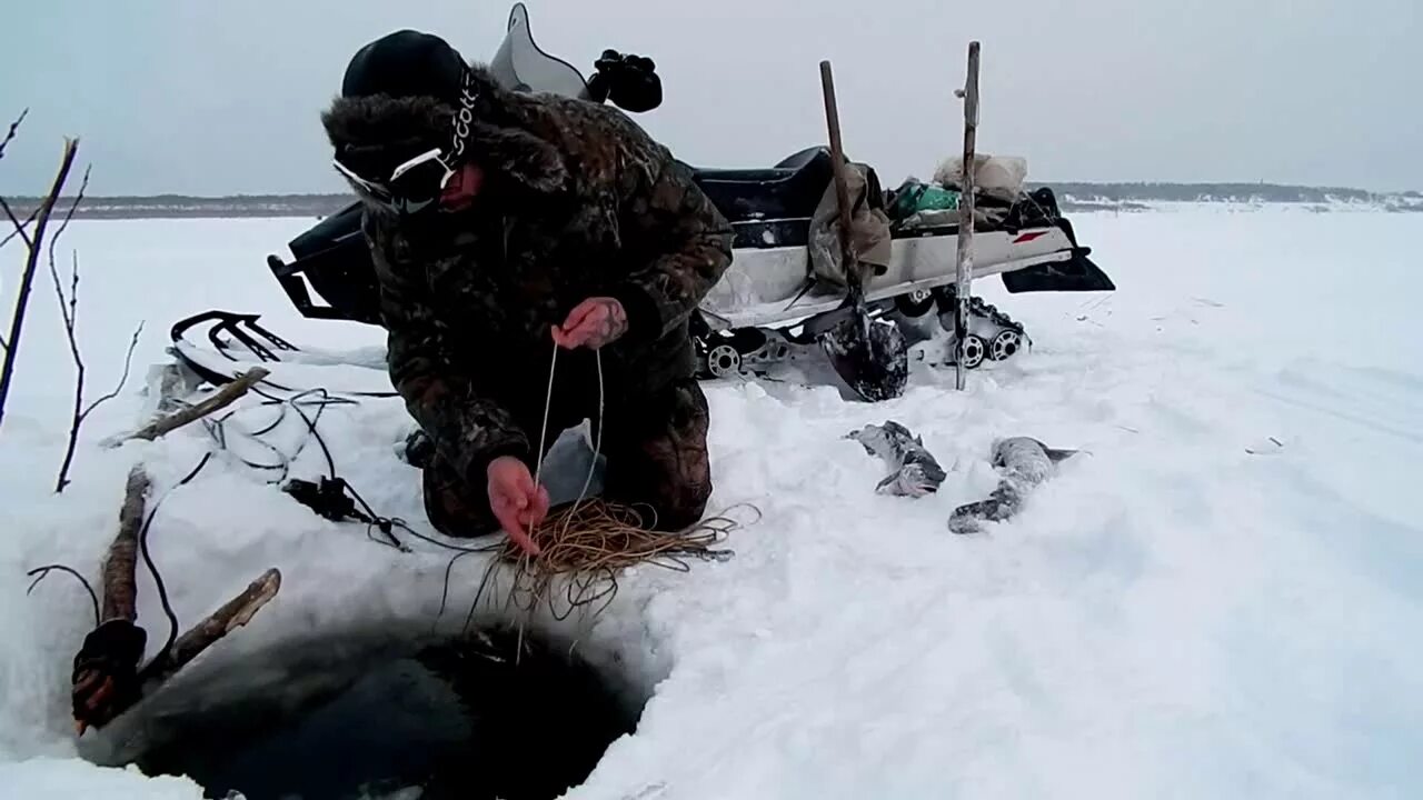Перемет под лед. Зимняя подводная рыбалка на налима. перемет на налима. перемет рыболовный. зимняя рыбалка на налима подводная съемка.