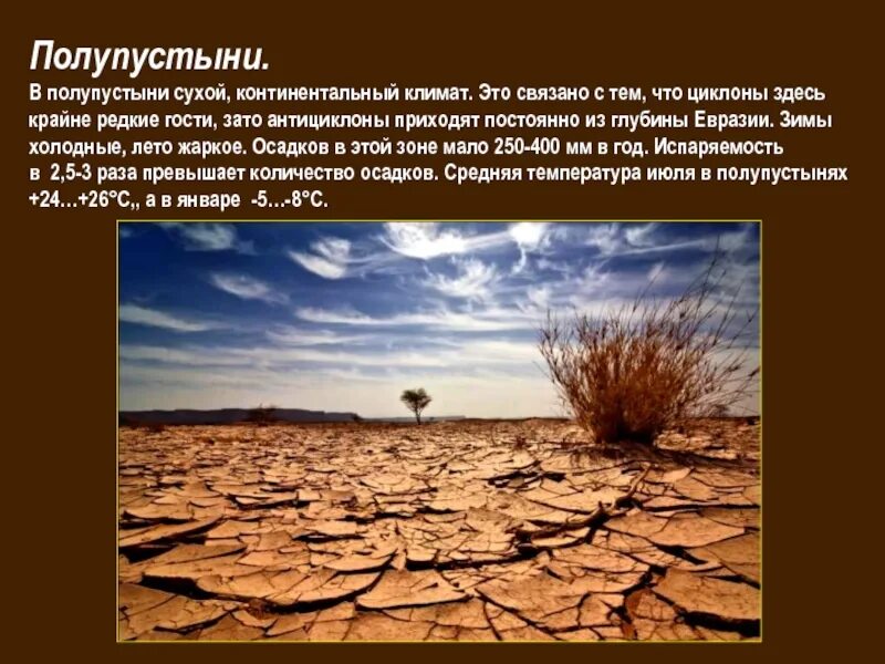 Особенности природной зоны полупустыни. Пустыни и полупустыни климат. Евразия пустыни и полупустыни климат. Пустыни и полупустыни России климат. Зона полупустынь климат.