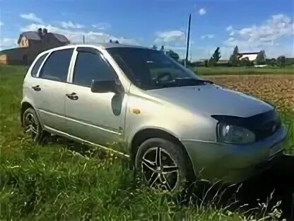 Калина йошкар оле