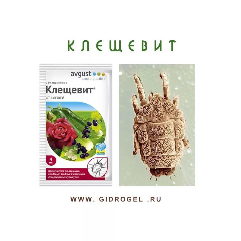 Клещевит 4 мл инструкция. Паутинный клещ Клещевит. Avgust Protection Crop Клещевит. Клещевит Фитоверм.