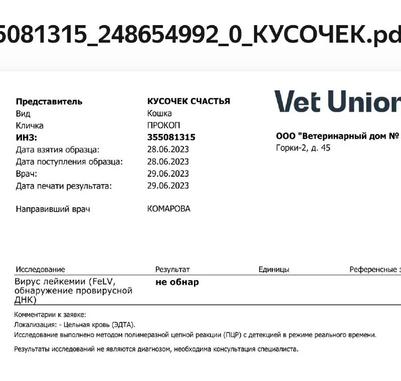 кусочек счастья для бездомной отзывы. кусочек счастья для бездомной отзывы. счастье в ладошках стихи. корм для бездомных животных. кусочек счастья для бездомной кошки.