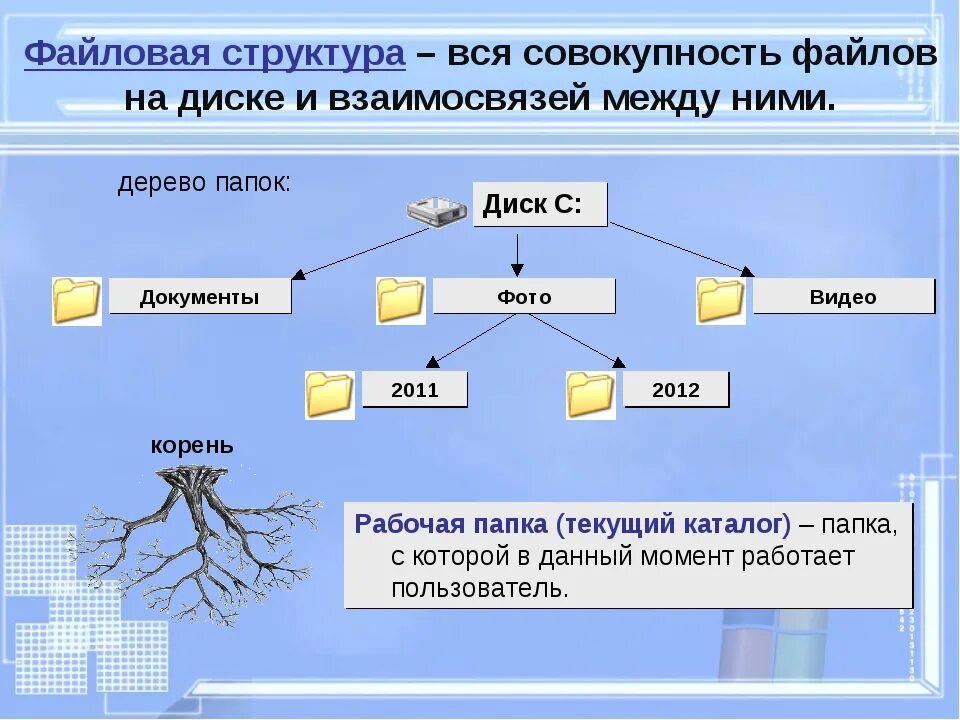 Как организованы папки. Файловая структура. Схема файловой структуры. Структура папок и файлов. Структура папок на компьютере.