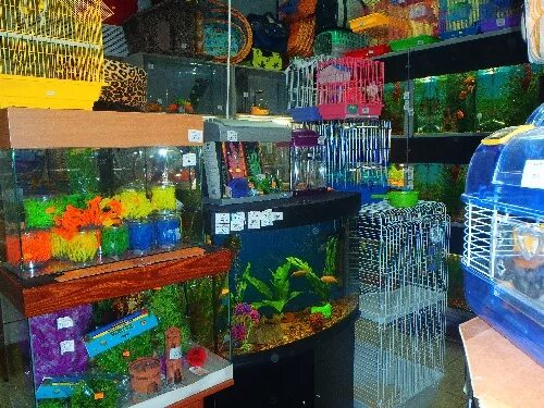 Зоомагазин продают рыбок. Зоомагазин аквариум. Зоомагазин продают рыбок. Зоомагазин продают рыбок. Зоомагазин аквариум.