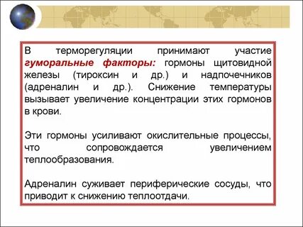 В терморегуляции принимает участие гормон