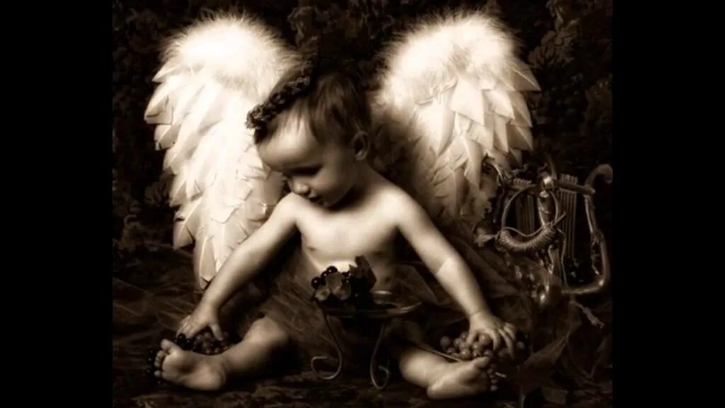 تانجو angel country. Антон халиков netangels. Тень ангела. Ангел фантазия на прозрачном фоне. Злой ангел.