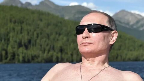 Приключения владимира владимировича