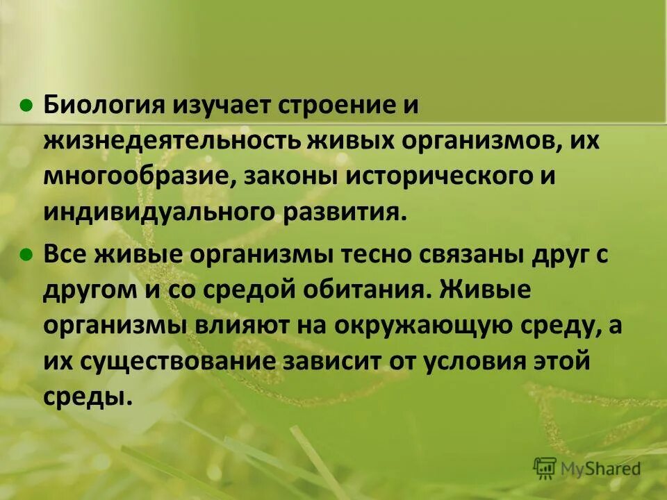 царство животных подцарство простейшие. особенности живых организмов. биология класс жизнедеятельность организмов. строение клетки живого организма. клетка это элементарная единица строения и жизнедеятельности.