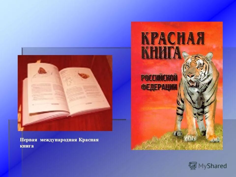 1 страница красной книге. структура красной книги. цветные страницы красной книги. цветные страницы красной книги. красные страницы красной книги.