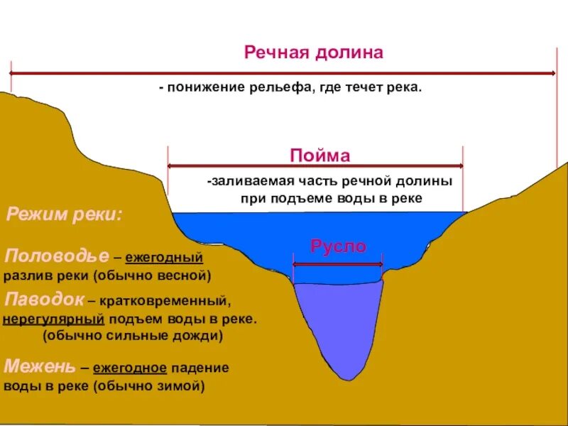 Река и ее бассейн