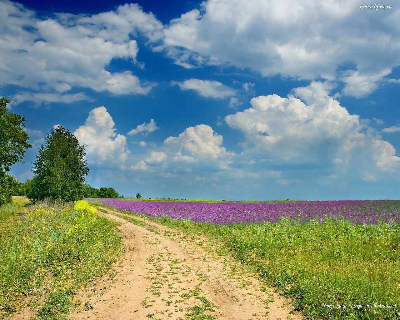 Лето 7 ru. Летний пейзаж. Пейзажи России. Летние пейзажи природы. Летние пейзажи России.