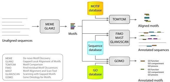 Sequence database
