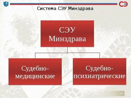 Судебно экспертные учреждения