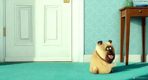 Secret life of pets english