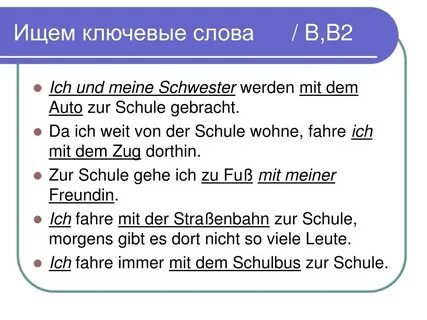 Text b