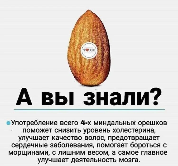 Польза миндального ореха. Чем полезен миндаль. миндаль интересные факты. миндаль польза. интересные факты об орехах.