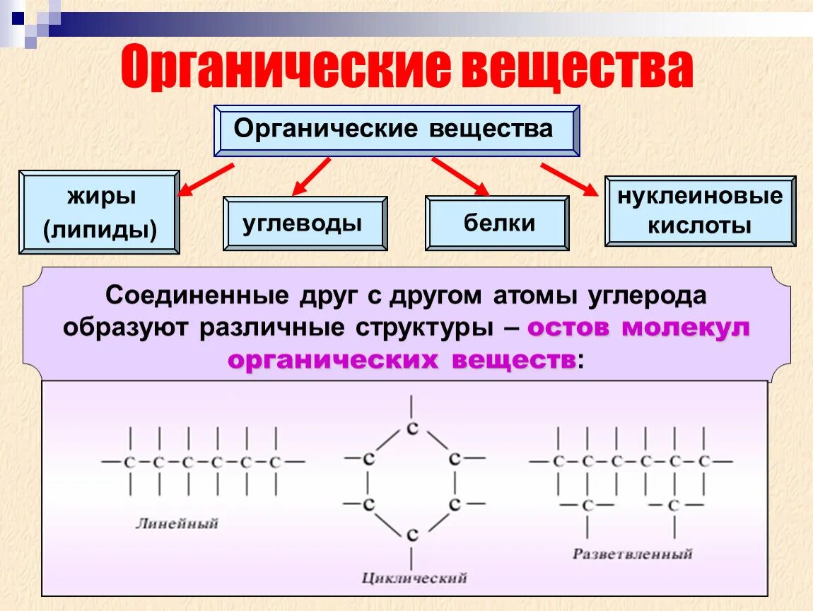 Органическим является. Органические вещества белки жиры углеводы. Органические соединения белки жиры углеводы. Белки жиры углеводы структура. Органические вещества белки жиры углеводы химия 9 класс.