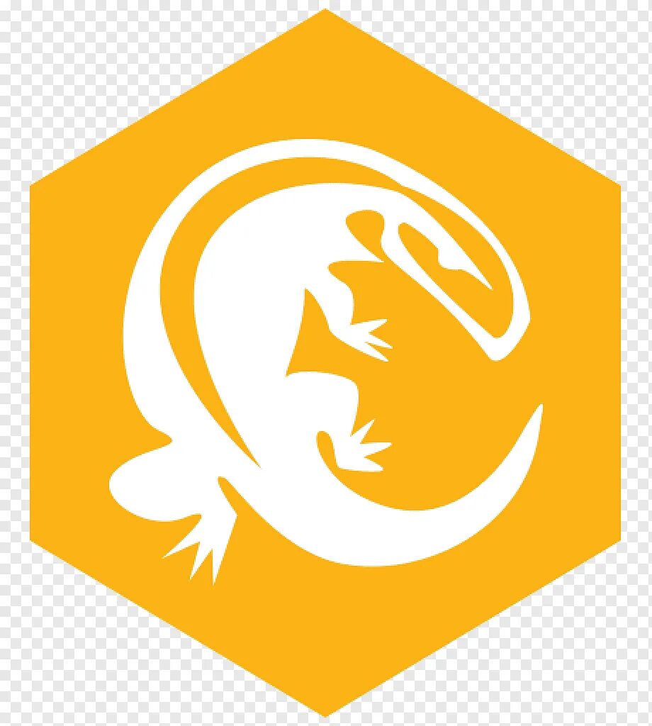 Komodo ide logo. Komodo Edit логотип. ACTIVESTATE Komodo ide. Komodo Edit & Komodo ide. Komodo edit