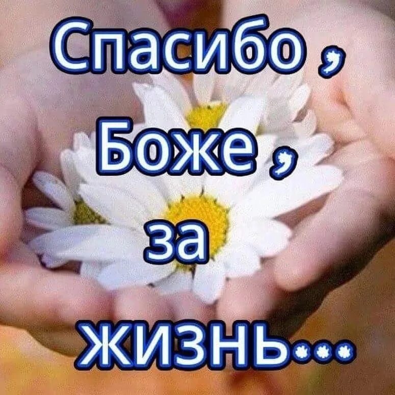 Спасибо Боже. Благодарю Бога. Спасибо Богу за жизнь. Спасибо Господи за жизнь. Господь спасибо что живу