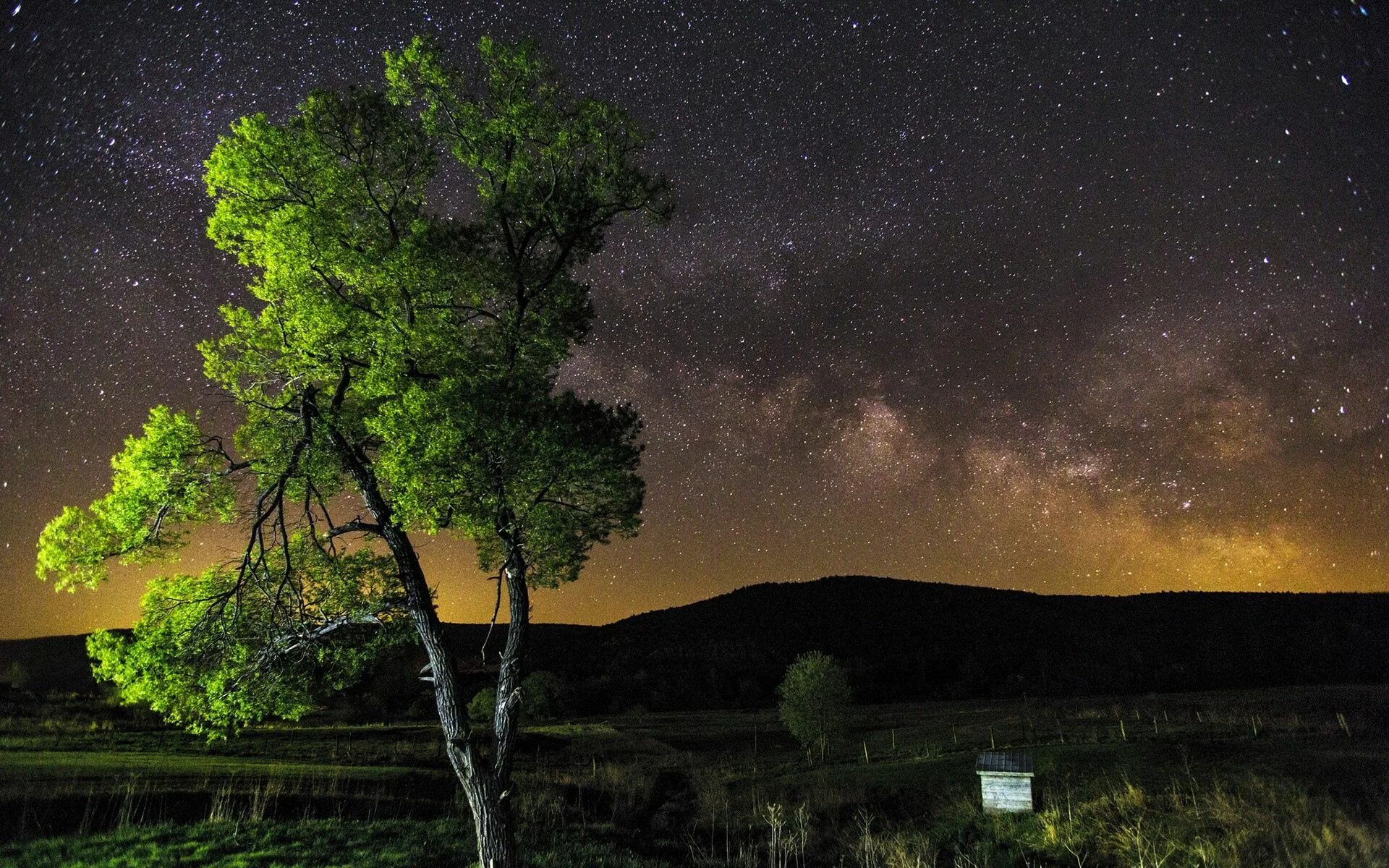 Ночной пейзаж. Ночное небо. Звездное небо ночью. Природа ночью. Tree star