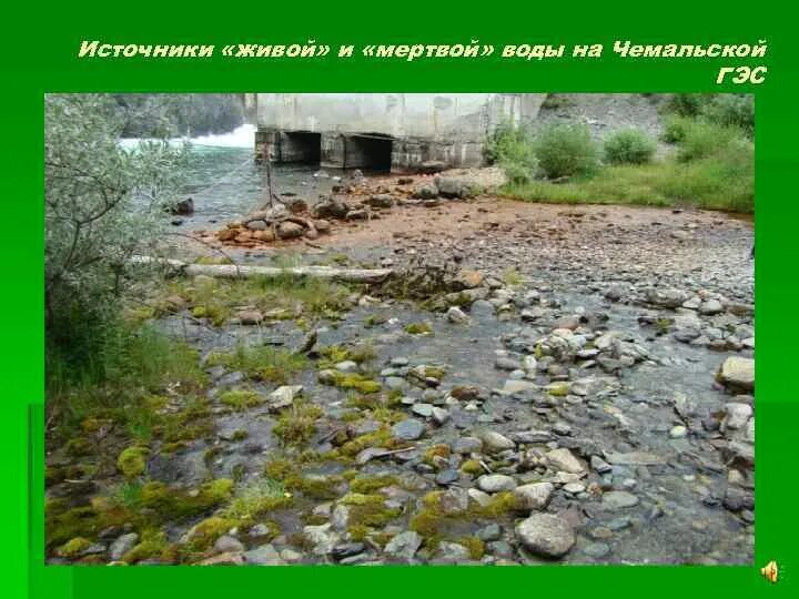 Мертвая вода источник. Вода живой родник. Живая вода. Живая вода. Колодец с живой водой.