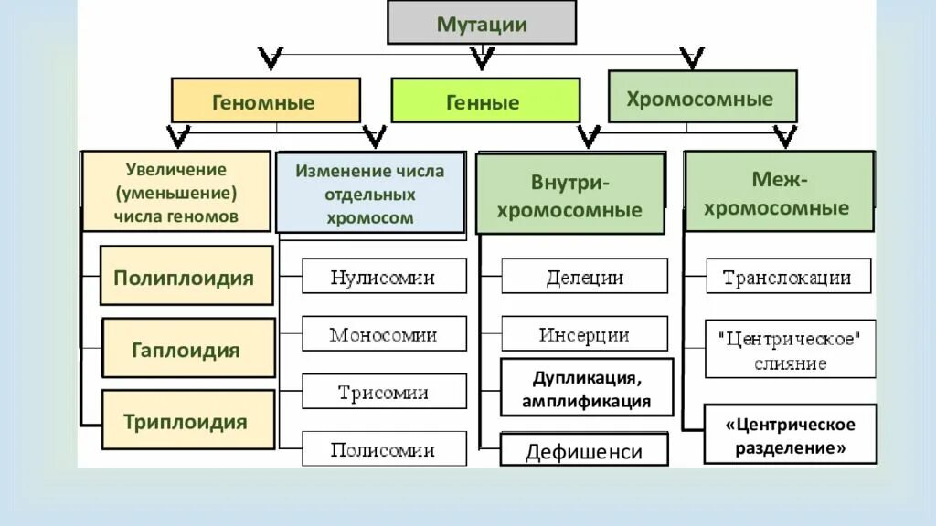 Классификация мутаций генные хромосомные геномные. Виды хромосомных мутаций схема. Генные геномные хромосомные мутации таблица примеры. Классификация мутаций. Генные, хромосомные и геномные мутации..