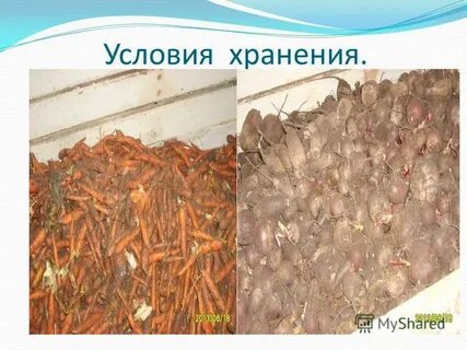 Нарушение условий хранения