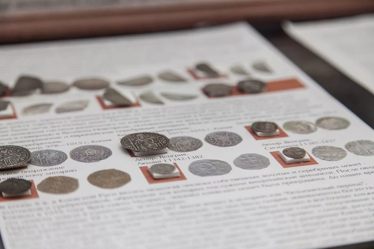 Выставка нумизматика. Нумизматическая постер выставки. Нумизматический музей алекперова. Нумизматические редкости тверского музея выставка. Нумизматическая выставка.