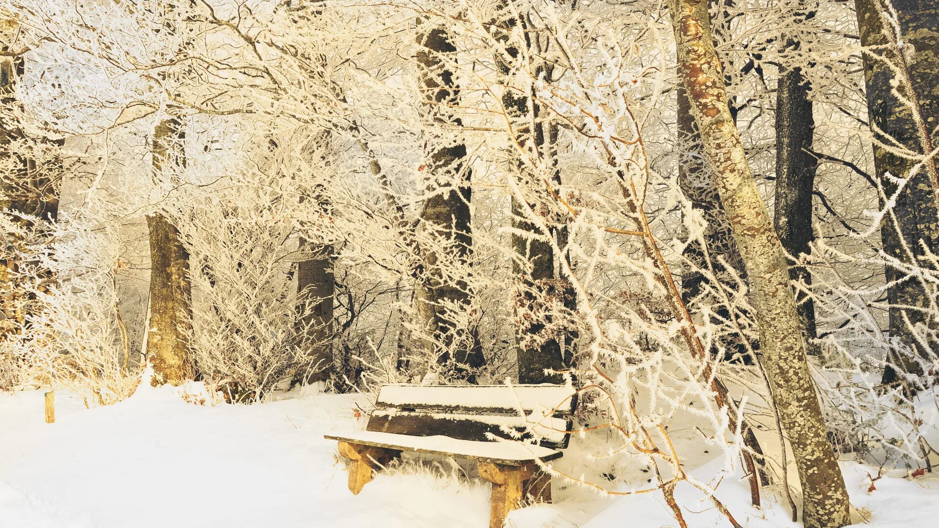 Преддверие зимы