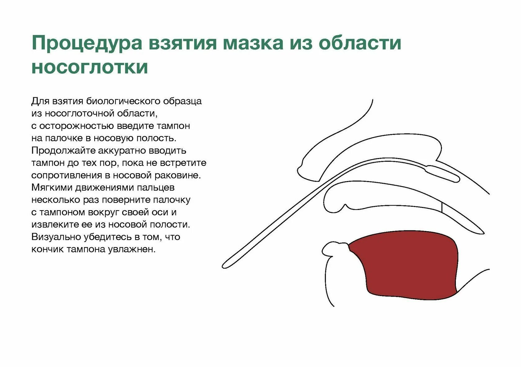 Ковид т. ПЦР забор материала. Взятие мазка на ПЦР алгоритм. Взятие мазка из носоглотки.