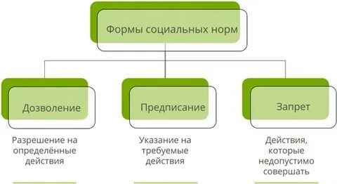 Социальные нормы кратко