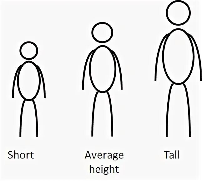 Message height. Человек в полный рост. average height. height tall short. medium height.
