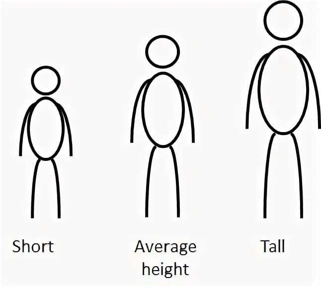 Tall short average height. Человек в полный рост. Medium height. Average height for Kids картинки. Short height