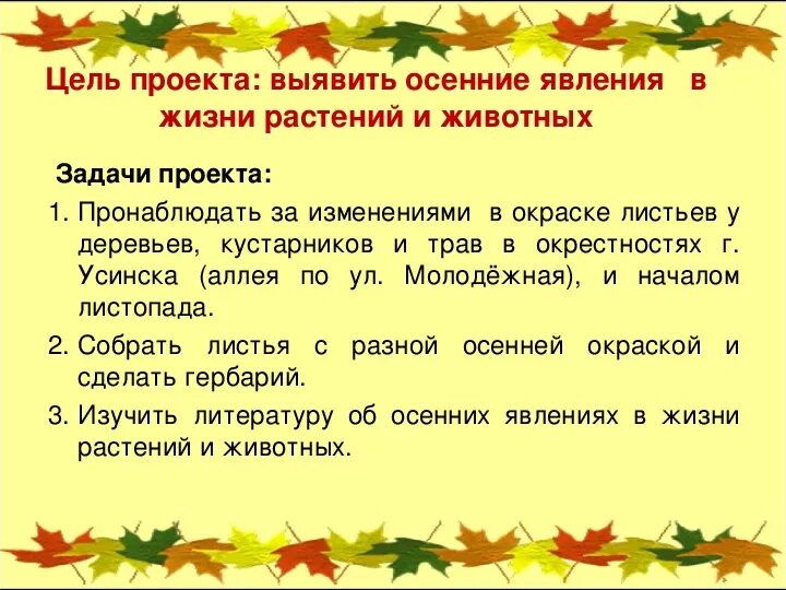 Наблюдательность сочинение из жизни. Осенние явления в жизни растений. Осенние явления растений и животных. Изменения в жизни растений осенью. Осенние явления в жизни растений и животных.