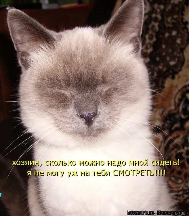 Я влюбилась в тебя. Оскорбляя человека. Я тебя люблю и боюсь потерять. Депрессия сигареты. Смерть близких.