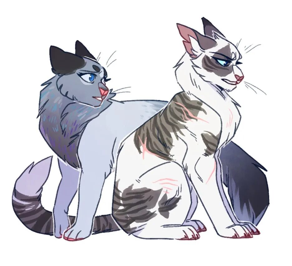 Голубка коты. Коты воители голубка. ivypool коты воители.