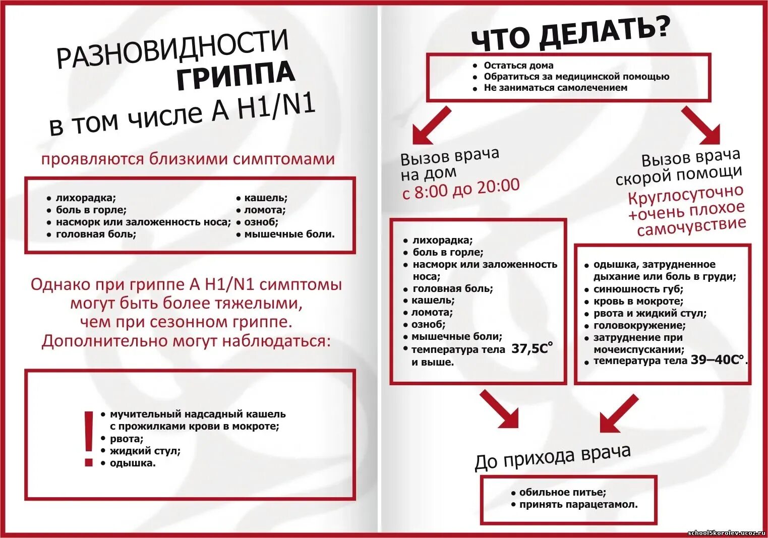 Грипп симптомы и профилактика. Профилактика гриппа. Разновидности гриппа. Штампы гриппа.