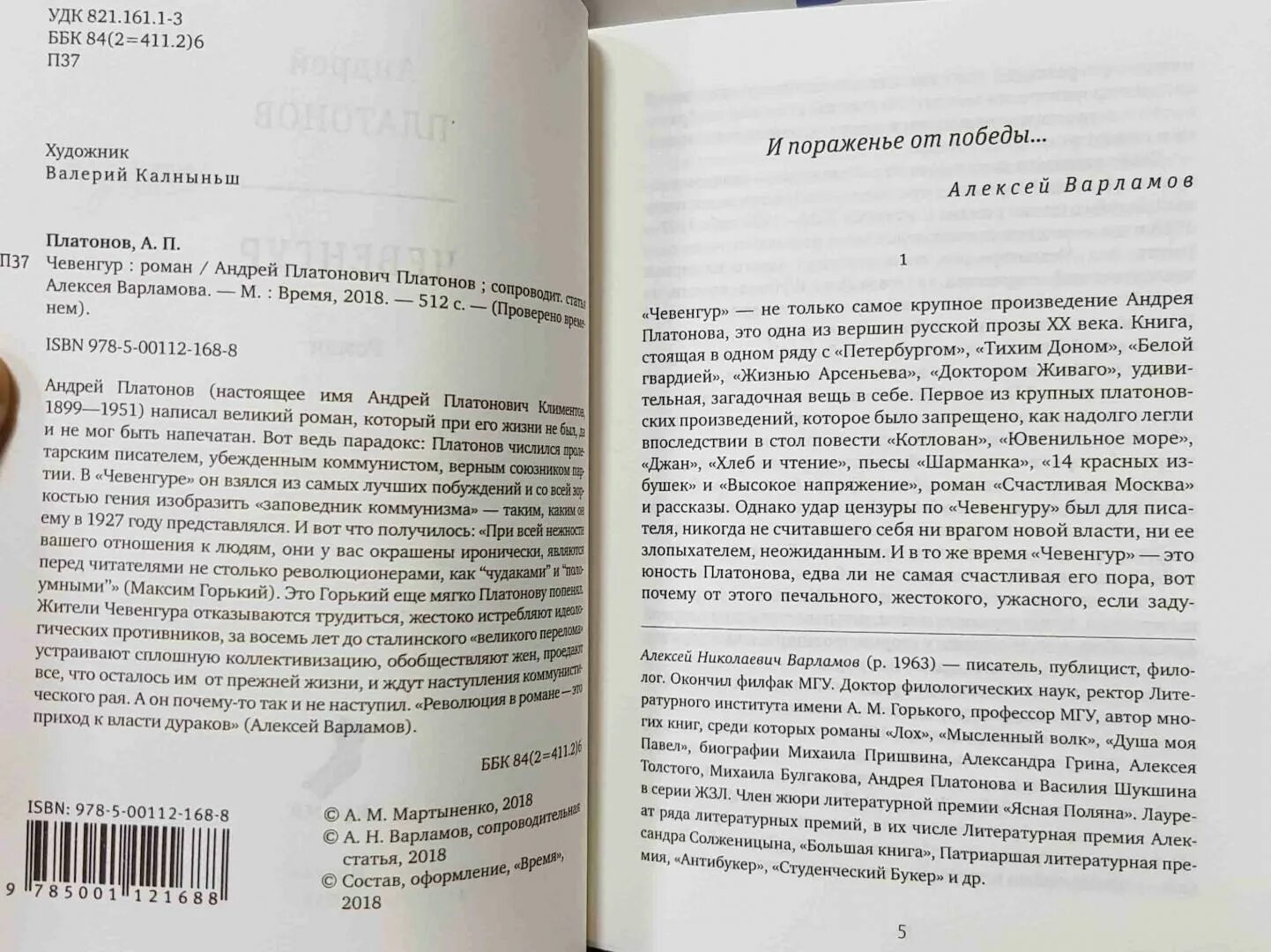 Чевенгур содержание. Чевенгур краткое содержание.