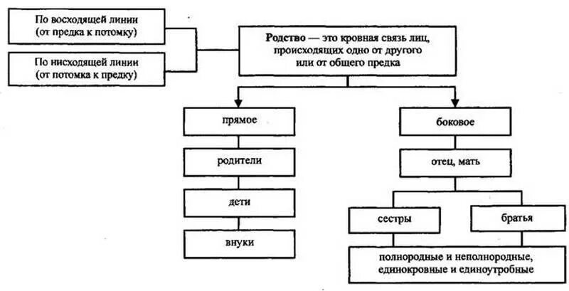 Родственниками родственниками по прямой восходящей. Степень родства в семейном праве. Схема родства семейное право. Линии и степени родства в семейном праве. Родство по восходящей линии.