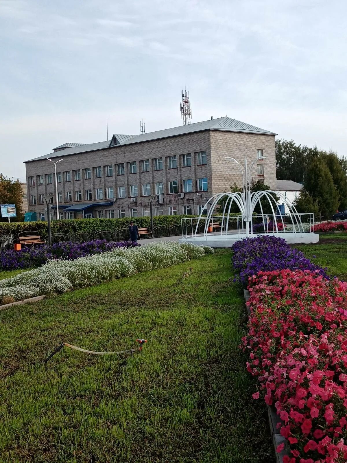 Погода цветники здвинский. Погода цветники здвинский. Погода цветники здвинский. Аэропорт здвинск. Травников в здвинске.