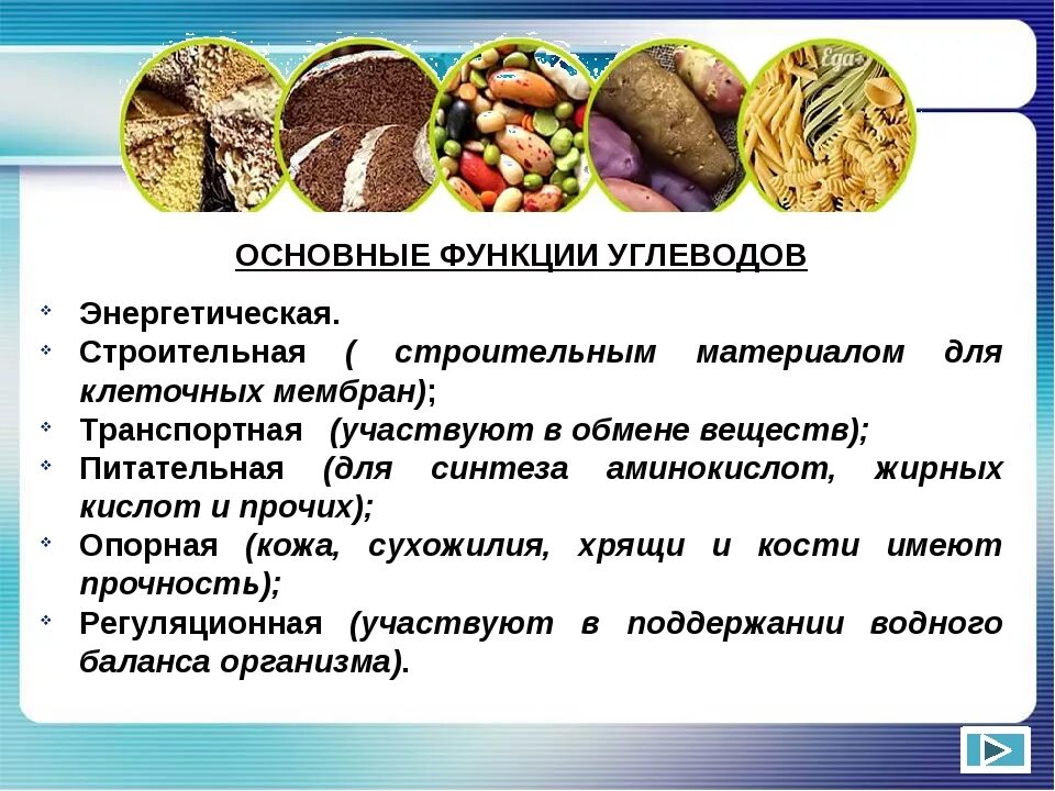 Функции различных углеводов. Функции углеводов в организме. Роль углеводов в организме человека. Углеводы их строение и функции.