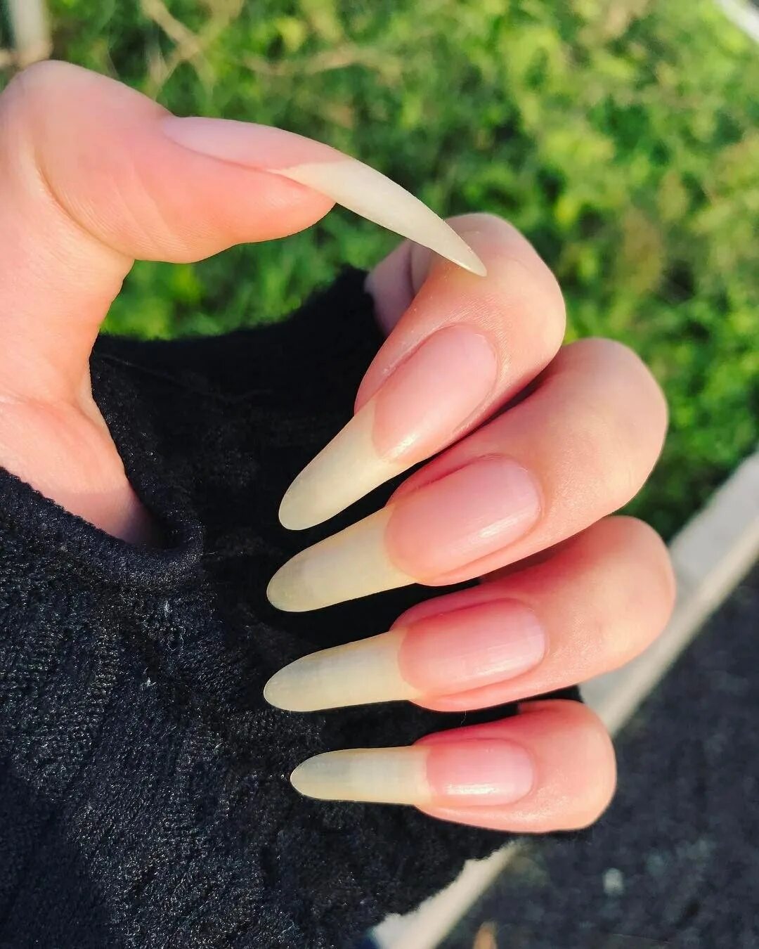 Лак длинные. Темный маникюр. Длинные ногти свои. Натуральный маникюр. Красивые длинные натуральные ногти.