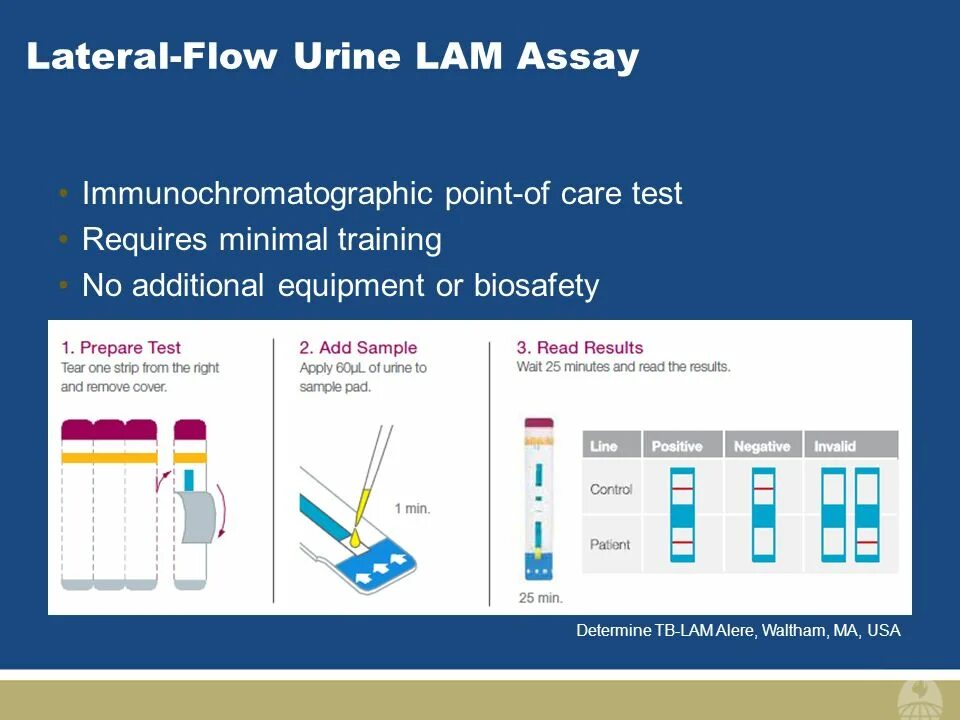 Тест lams. Lateral Flow. Lateral Flow Test. Лам тест туберкулез. Test requires new