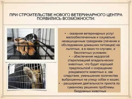 Проекты помощи бездомным