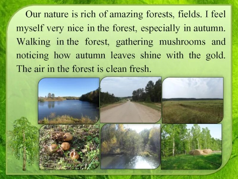 About nature in English. Nature текст. Our nature. Text about nature. Природа английский 6 класс