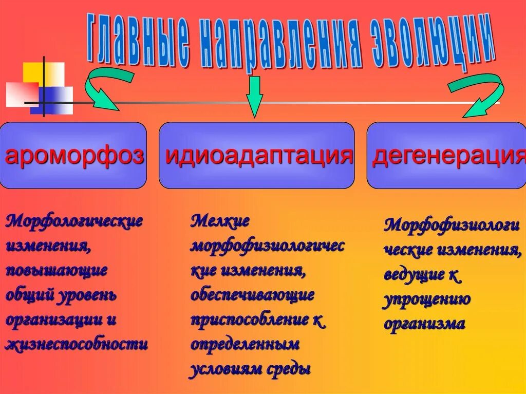 Пути эволюционных изменений. Главные направления эволюции ароморфоз идиоадаптация дегенерация. Направление эволюции ароморфоз идиоадаптация дегенерация таблица. Таблица ароморфоз идиоадаптация дегенерация дегенерация. Ароморфоз идиоадаптация дегенерация.