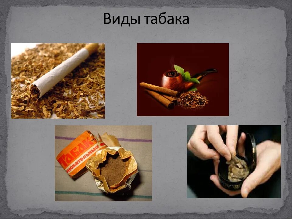 Курил махорку. Табак виды. Виды курения табака. Табачная продукция. Виды сортов табака.